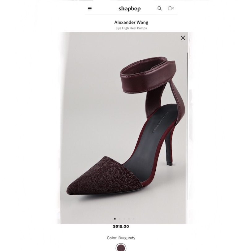 Alexander Wang Lyla Ankle Strap High Heel Pumps